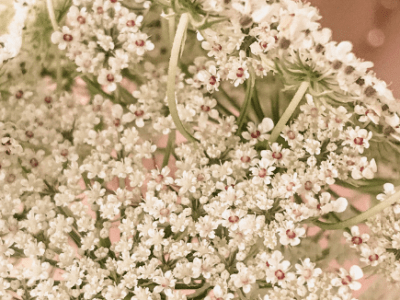 2021 Summer Instagram&nbsp;Trends