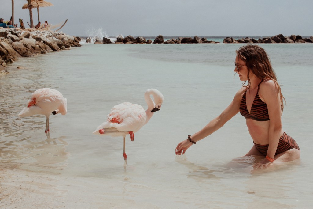 woman in water with flamingos on renaissance island in aruba