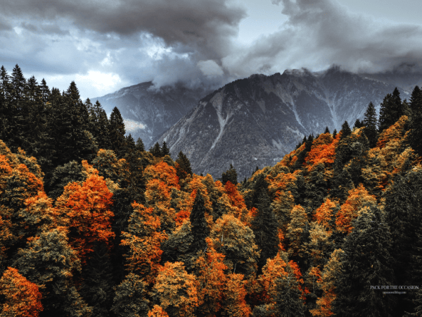Fall Travel Wallpaper for Your Phone, Tablet, &&nbsp;Desktop