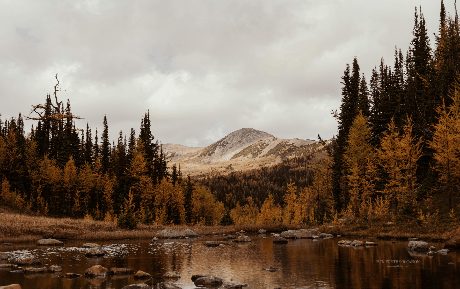 Autumn landscape in Alberta's Canadian Rocky Mountains free tech wallpaper
