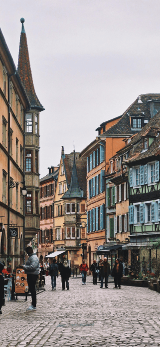Colorful historic houses along a picturesque street in Colmar, France free fall tech wallpaper