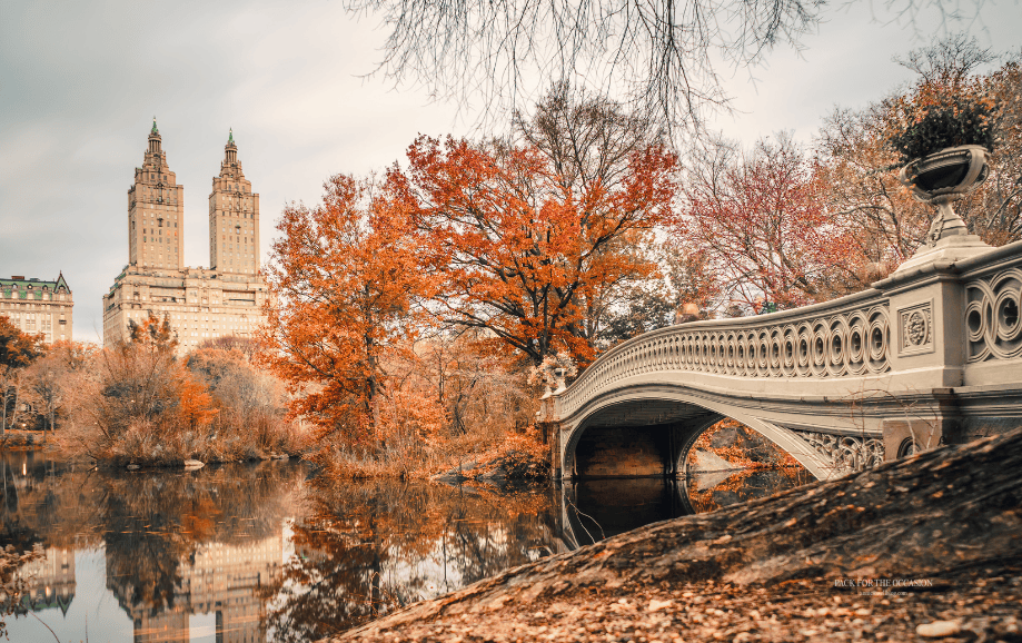 Autumn foliage in Central Park in New York City free tech wallpaper for desktop