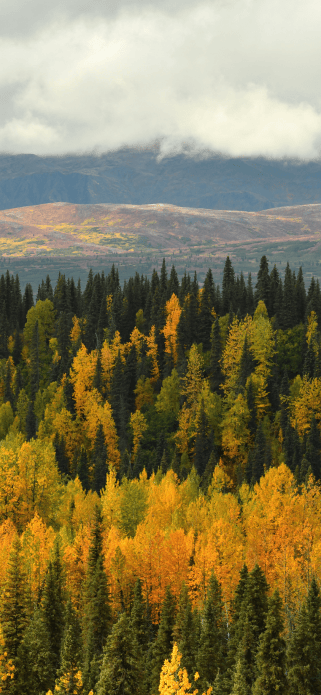 Mountain scenery in the Denali region of Alaska free fall tech wallpaper iphone