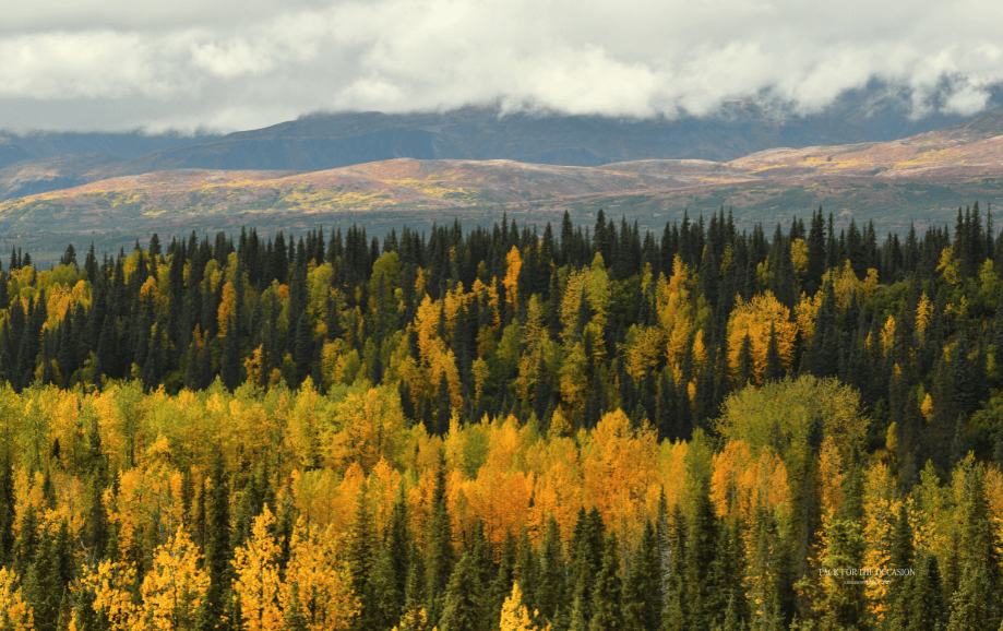 Mountain scenery in the Denali region of Alaska free fall tech wallpaper desktop
